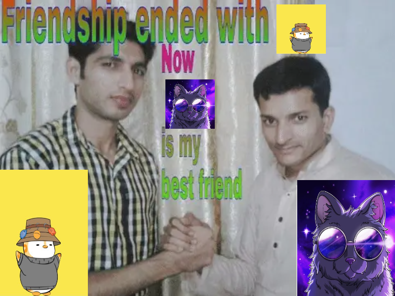 Featured Meme 8